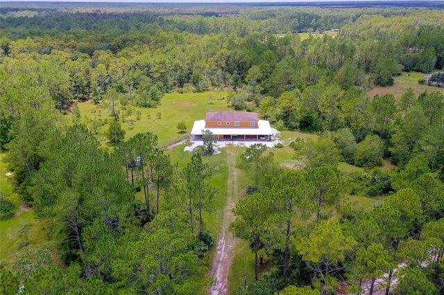 4666 Fir Rd, New Smyrna Beach, FL 32168 - view of subject property featuring a heavily wooded area