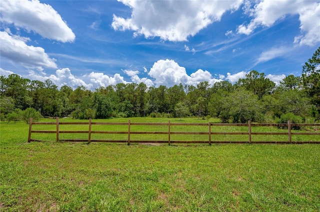 4666 Fir Rd, New Smyrna Beach, FL 32168 - view of green lawn featuring a rural view and a wooded view