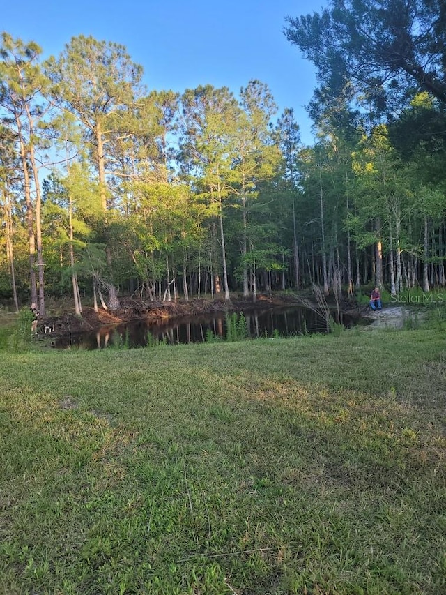 4666 Fir Rd, New Smyrna Beach, FL 32168 - view of yard with a water view
