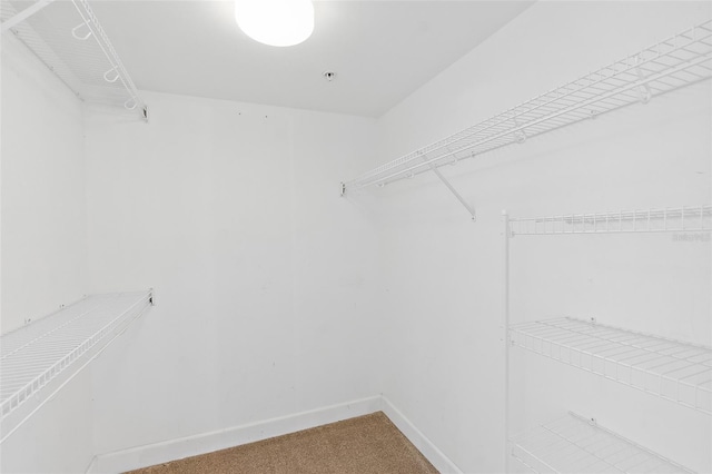3315 S Atlantic Ave Unit 408, Daytona Beach Shores, FL 32118 - spacious closet with carpet flooring