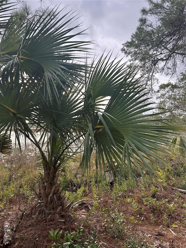 Jewell Dr, Deland, FL 32720 - photo 5