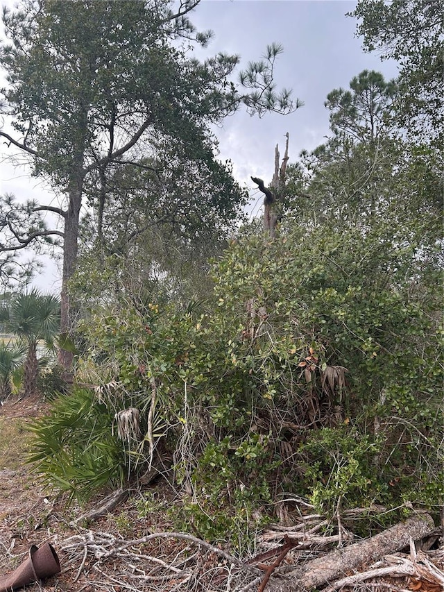Jewell Dr, Deland, FL 32720 - photo 6
