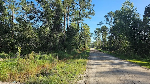 1224 10th Ave, Deland, FL 32724 - photo 2