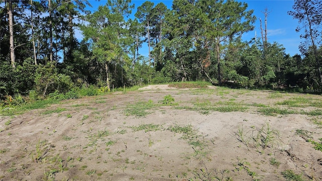 1224 10th Ave, Deland, FL 32724 - photo 4