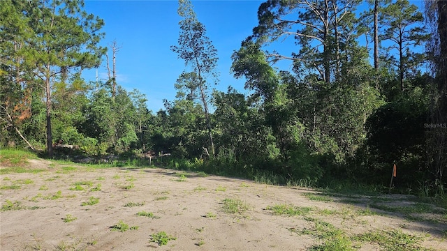 1224 10th Ave, Deland, FL 32724 - photo 5