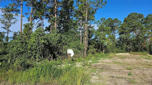 1224 10th Ave, Deland, FL 32724 - photo 6