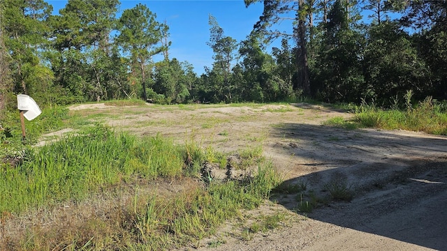 1224 10th Ave, Deland, FL 32724 - photo 7