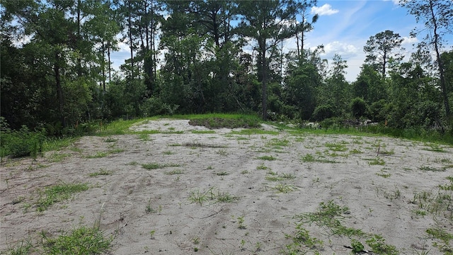 1224 10th Ave, Deland, FL 32724 - photo 8