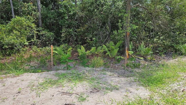 1224 10th Ave, Deland, FL 32724 - photo 9