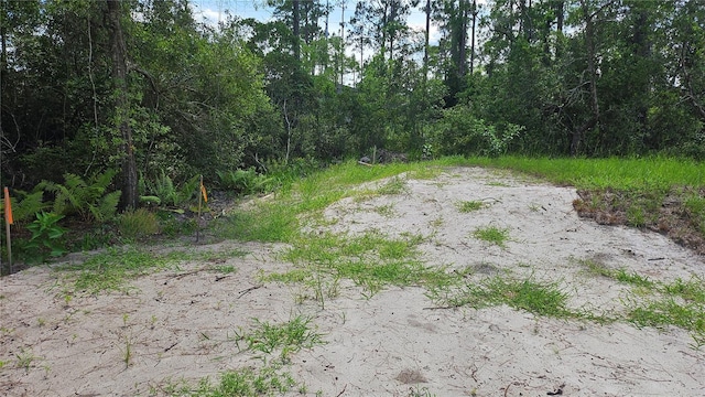1224 10th Ave, Deland, FL 32724 - photo 10