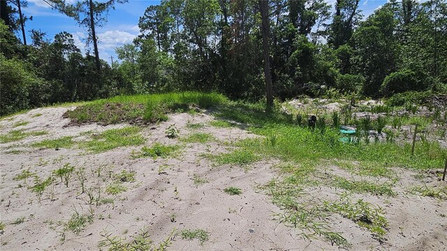 1224 10th Ave, Deland, FL 32724 - photo 11