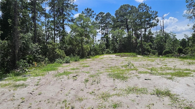 1224 10th Ave, Deland, FL 32724 - photo 13