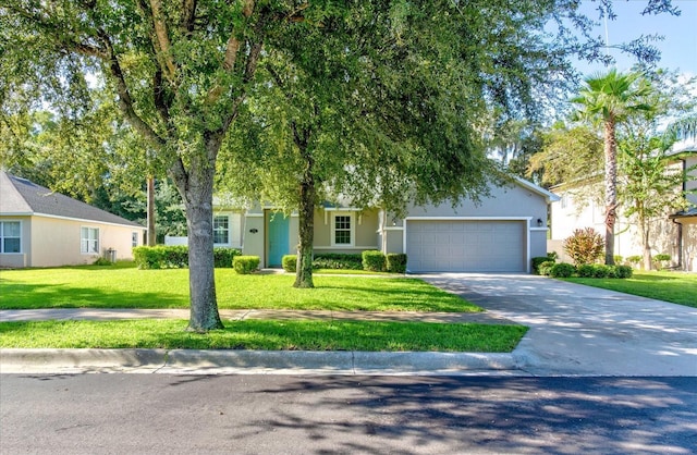 1304 Tilapia Trl, Deland, FL 32724 - photo 3