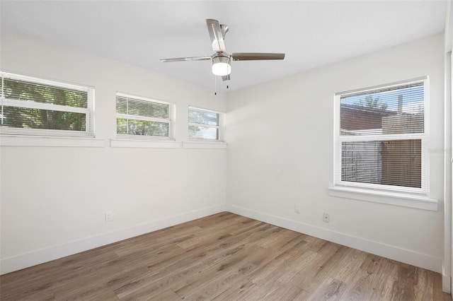 5312 Newhall Ave, Orlando, FL 32810 - photo 21