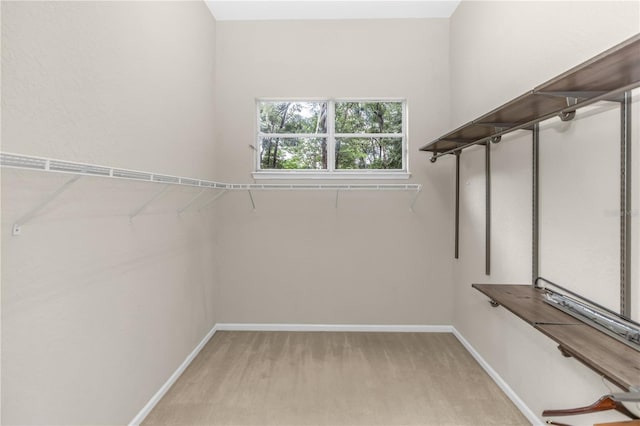2250 Wilmhurst Rd, Deland, FL 32720 - photo 20