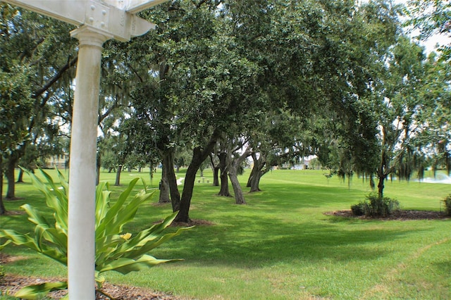 2341 Betsy Ross Ln Unit 19-C, Saint Cloud, FL 34769 - photo 34