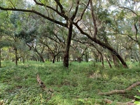 2555 Place Pond Rd, De Leon Springs, FL 32130 - photo 14
