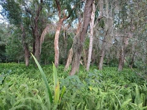 2555 Place Pond Rd, De Leon Springs, FL 32130 - photo 15