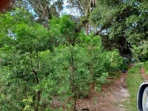 2555 Place Pond Rd, De Leon Springs, FL 32130 - photo 17