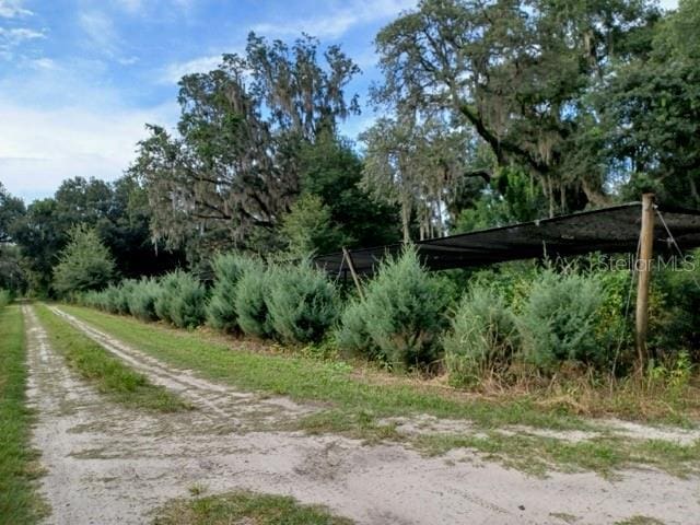 2555 Place Pond Rd, De Leon Springs, FL 32130 - photo 18