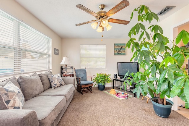 21 Sunset Blvd, Ormond Beach, FL 32176 - photo 11