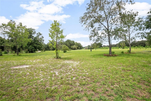 1741 Alanson Dr, Deland, FL 32724 - photo 31