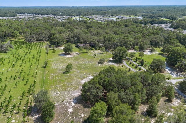1741 Alanson Dr, Deland, FL 32724 - photo 47