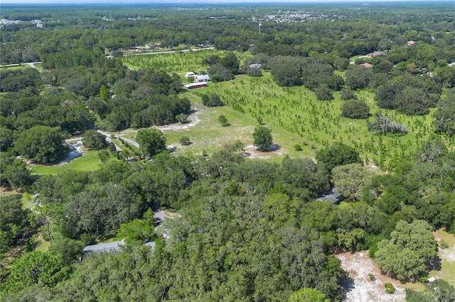 1741 Alanson Dr, Deland, FL 32724 - photo 51
