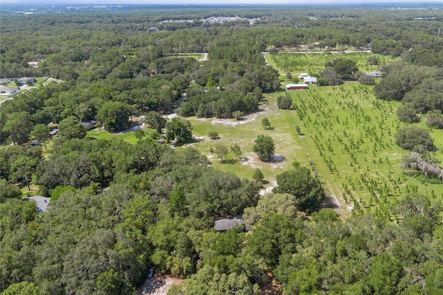 1741 Alanson Dr, Deland, FL 32724 - photo 52