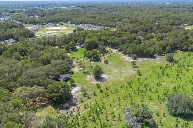 1741 Alanson Dr, Deland, FL 32724 - photo 53