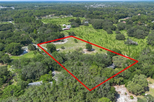 1741 Alanson Dr, Deland, FL 32724 - photo 68