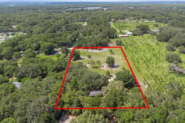 1741 Alanson Dr, Deland, FL 32724 - photo 69
