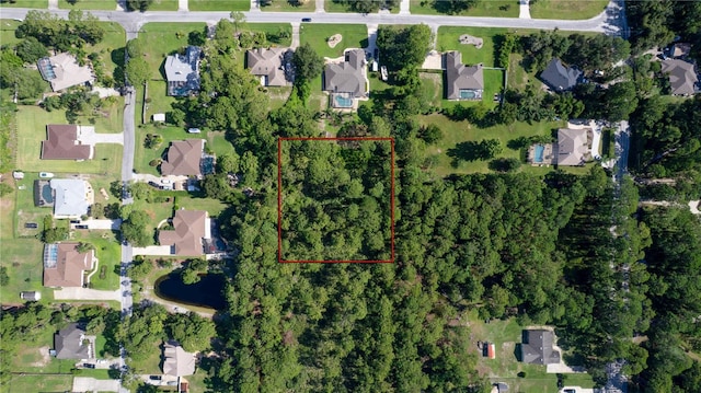 12 Craycroft Ave, Debary, FL 32713 - photo 1