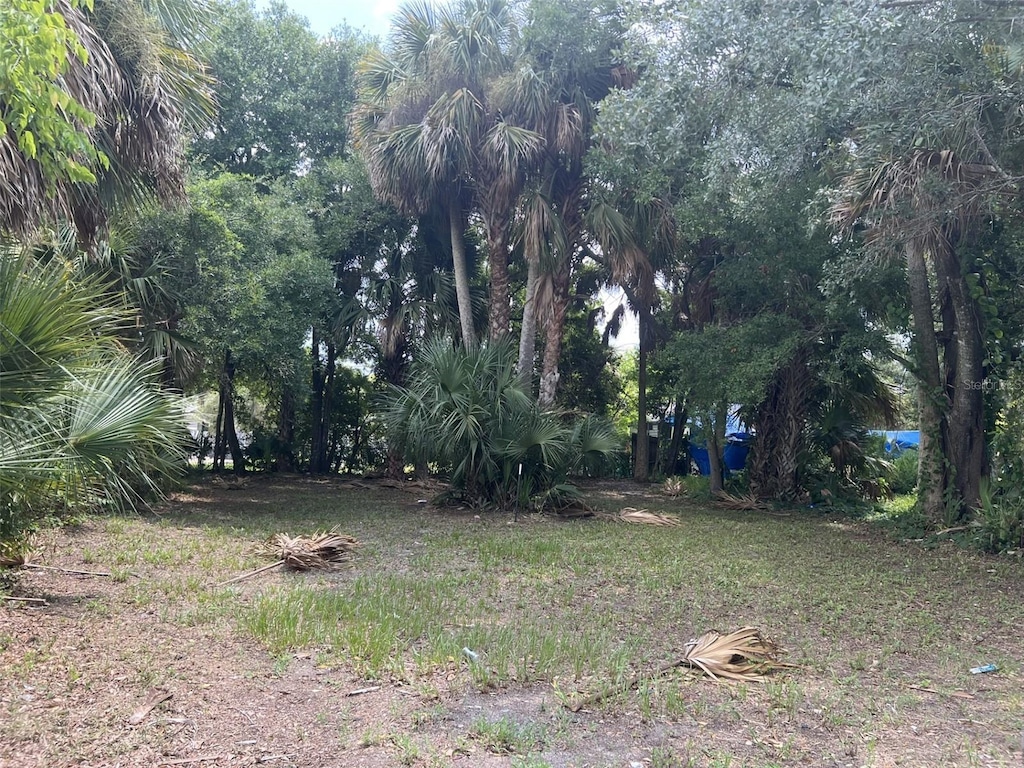321 Rose Ave, Daytona Beach, FL 32114 - photo 1