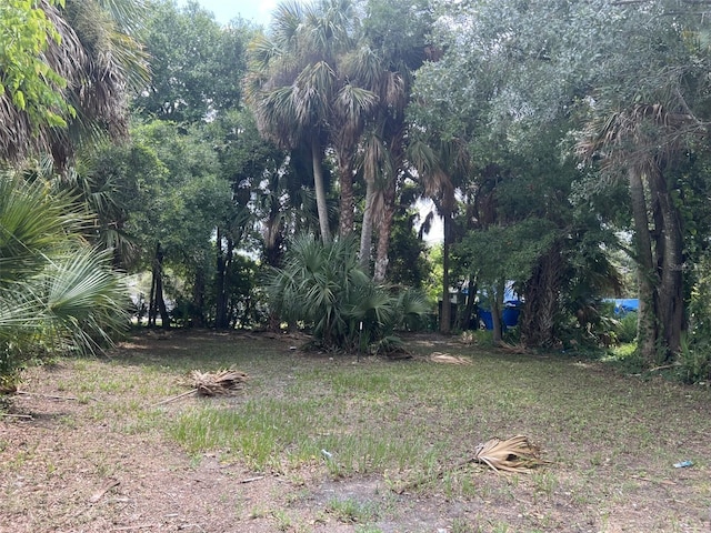 321 Rose Ave, Daytona Beach, FL 32114 - photo 1