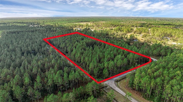 2 Wild Cur Rd, Pierson, FL 32180 - photo 2