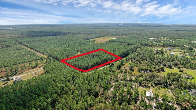 2 Wild Cur Rd, Pierson, FL 32180 - photo 3