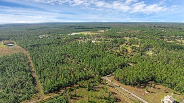 2 Wild Cur Rd, Pierson, FL 32180 - photo 4