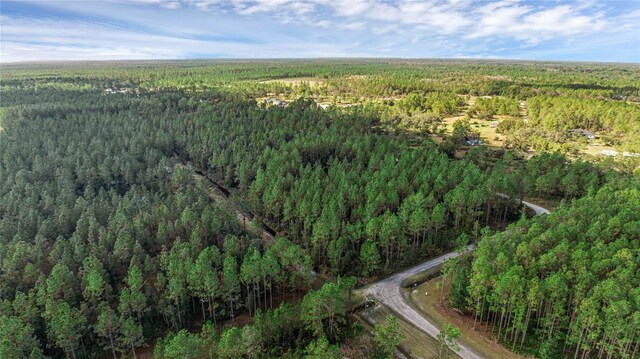 2 Wild Cur Rd, Pierson, FL 32180 - photo 6