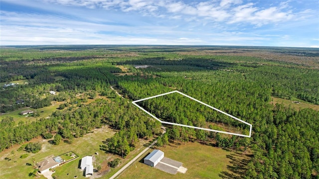 1 Wild Cur Rd, Pierson, FL 32180 - photo 1
