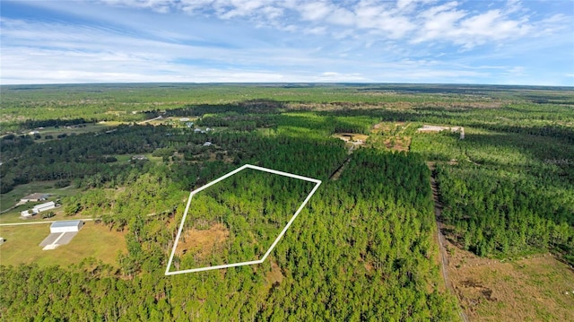 1 Wild Cur Rd, Pierson, FL 32180 - photo 3