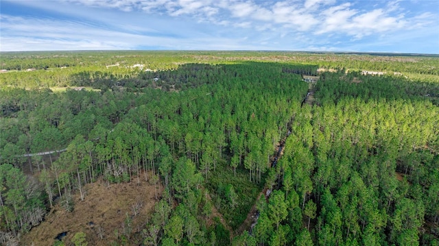 1 Wild Cur Rd, Pierson, FL 32180 - photo 6