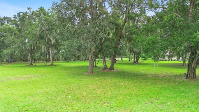 3609 Aquamarine Dr, Deland, FL 32724 - photo 3