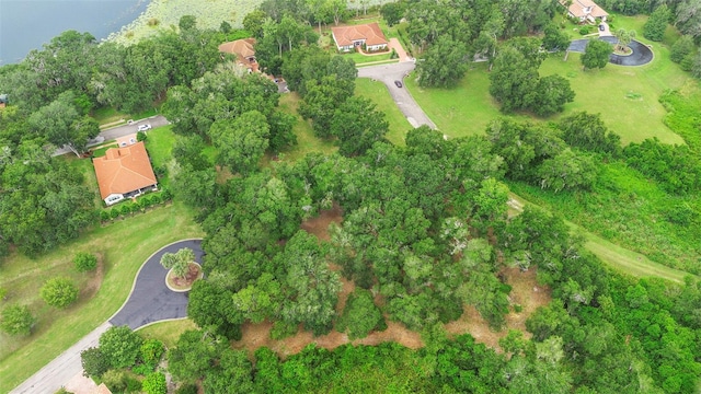 3609 Aquamarine Dr, Deland, FL 32724 - photo 9