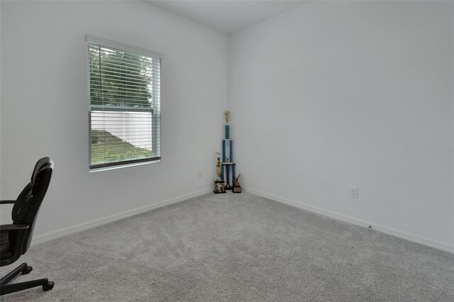 2055 Buckhanon Trl, Deland, FL 32720 - photo 25