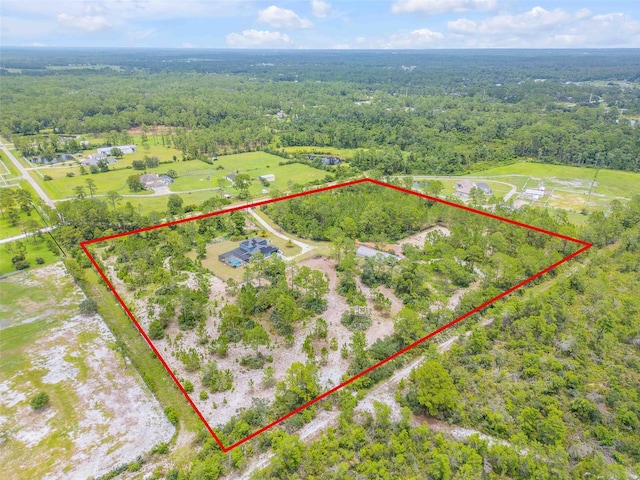 4175 Saddle Club Dr, New Smyrna Beach, FL 32168 - photo 2