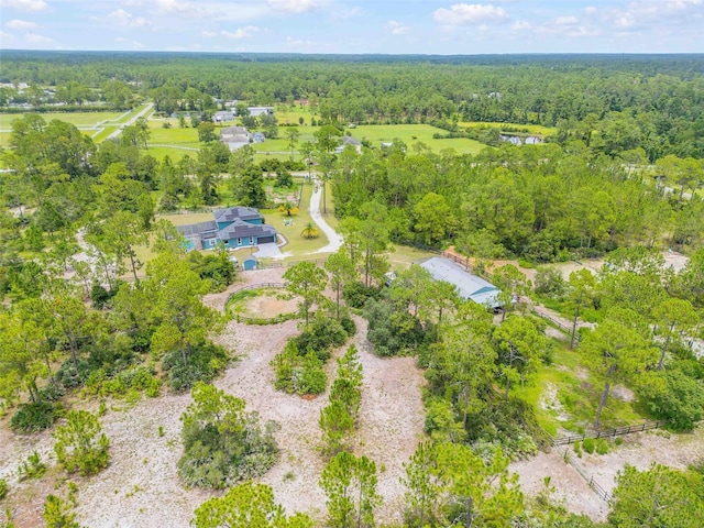 4175 Saddle Club Dr, New Smyrna Beach, FL 32168 - photo 69