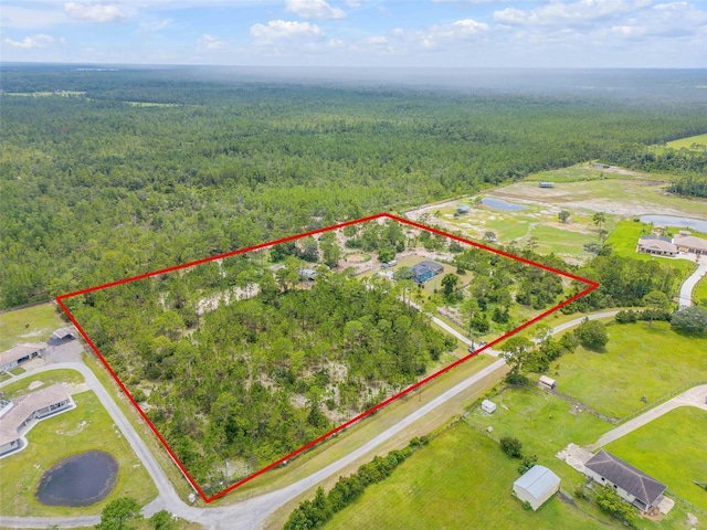 4175 Saddle Club Dr, New Smyrna Beach, FL 32168 - photo 71