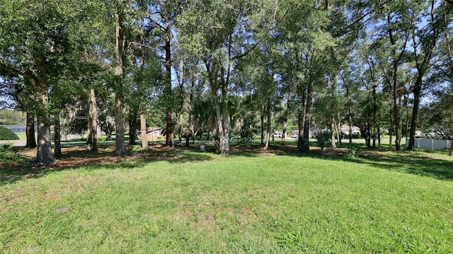 1460 Glenwood Rd, Deland, FL 32720 - photo 23