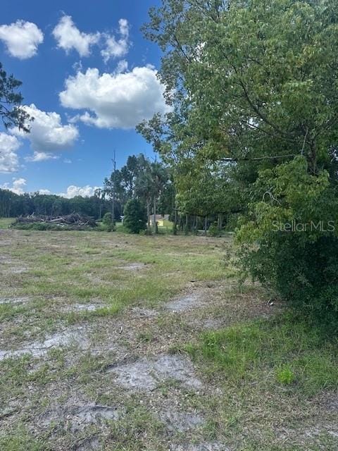 125 W 1st Ave, Pierson, FL 32180 - photo 2